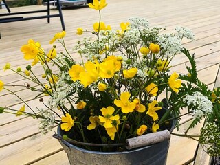 Holiday house Alsvåg  3