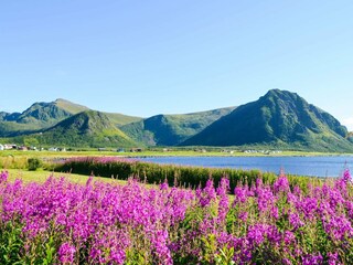 Holiday house Alsvåg  11