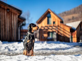Holiday park St. Lorenzen ob Murau  37