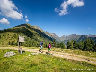Parc de vacances St. Lorenzen ob Murau Environnement 28