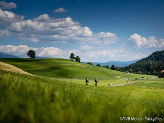 Vakantiepark St. Lorenzen ob Murau Omgeving 36