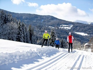 Ferienpark St. Lorenzen ob Murau Umgebung 32