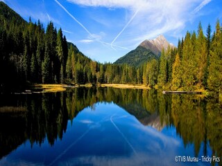 Vakantiepark St. Lorenzen ob Murau Omgeving 25