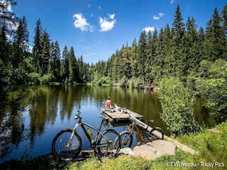 Vakantiepark St. Lorenzen ob Murau Omgeving 33