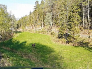 Vakantiehuis Risør  18