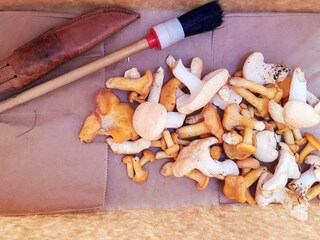 Holiday house Risør  27