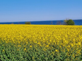 Casa per le vacanze Sydals  20