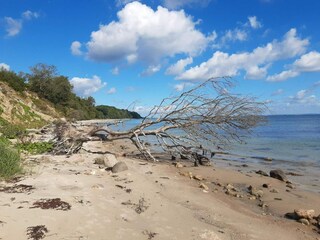 Vakantiehuis Sydals  19