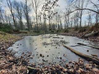 Casa per le vacanze Otterup  36