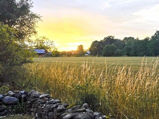 Vakantiehuis Kalmar Buitenaudio-opname 3