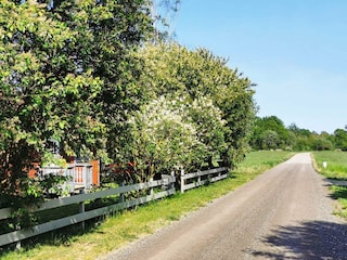 Ferienhaus Kalmar Außenaufnahme 3