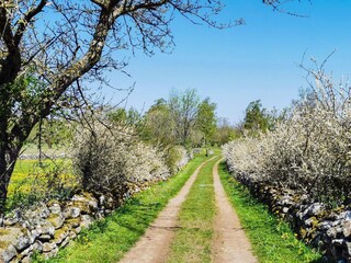 Maison de vacances Kalmar  13