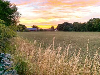 Ferienhaus Kalmar Außenaufnahme 9