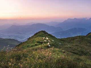 Apartment Reith bei Kitzbühel Outdoor Recording 6