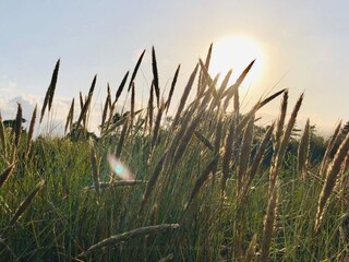 Casa per le vacanze Marielyst  26