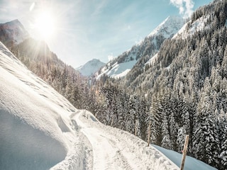 Apartment Reith bei Kitzbühel  26