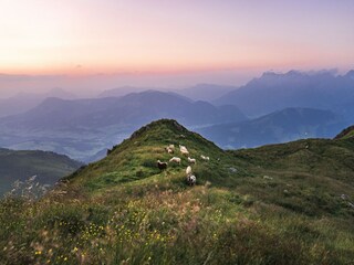 Appartamento Reith bei Kitzbühel  18