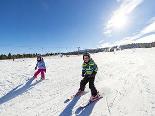 Ferienpark St. Lorenzen ob Murau Umgebung 26