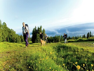 Ferienpark St. Lorenzen ob Murau Umgebung 28