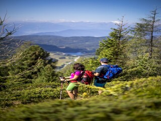 Vakantiepark St. Lorenzen ob Murau Omgeving 30