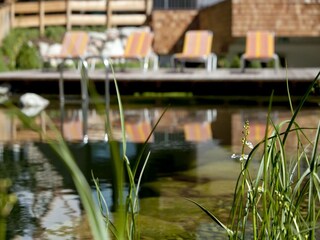 Apartamento Reith bei Kitzbühel  15