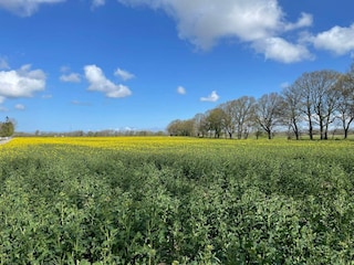 Holiday house Helsingborg  20