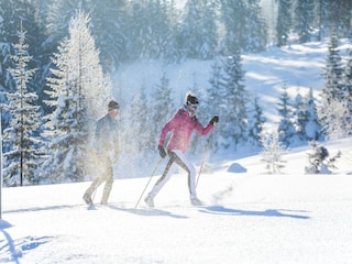 Apartment Reith bei Kitzbühel Umgebung 12