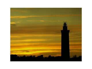 Holiday apartment Ouddorp Environment 14