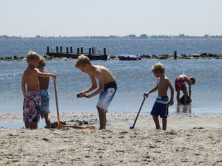 Appartamento per vacanze Ouddorp Ambiente 10