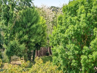 Apartamento Talmont-Saint-Hilaire  8