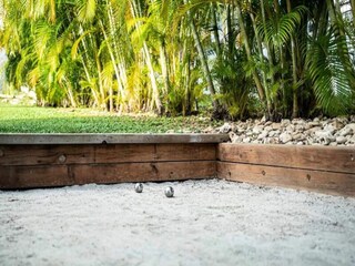 Apartment Sainte-Anne (Guadeloupe)  19