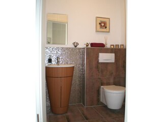 Designer guest bathroom