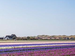 Appartamento per vacanze Callantsoog Ambiente 21