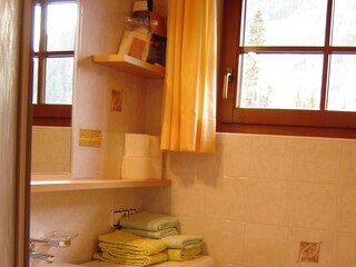 Appartamento per vacanze Steinhaus im Ahrntal Caratteristiche 9