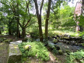 Chalet La Bresse Enregistrement extérieur 2