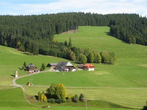 Ferienwohnung Hanisenhof - Titisee-Neustadt - image1