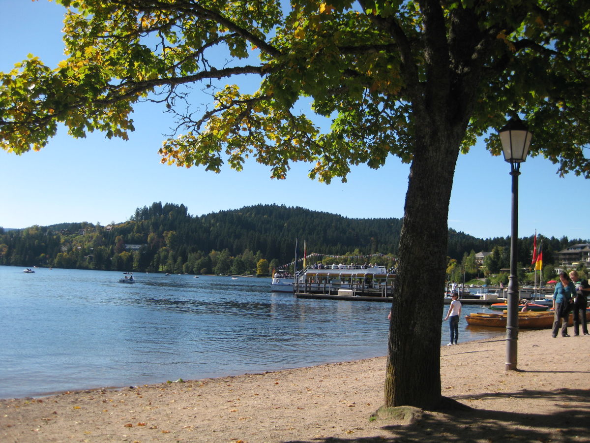 Am Titisee