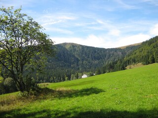 Wanderung zum Feldsee