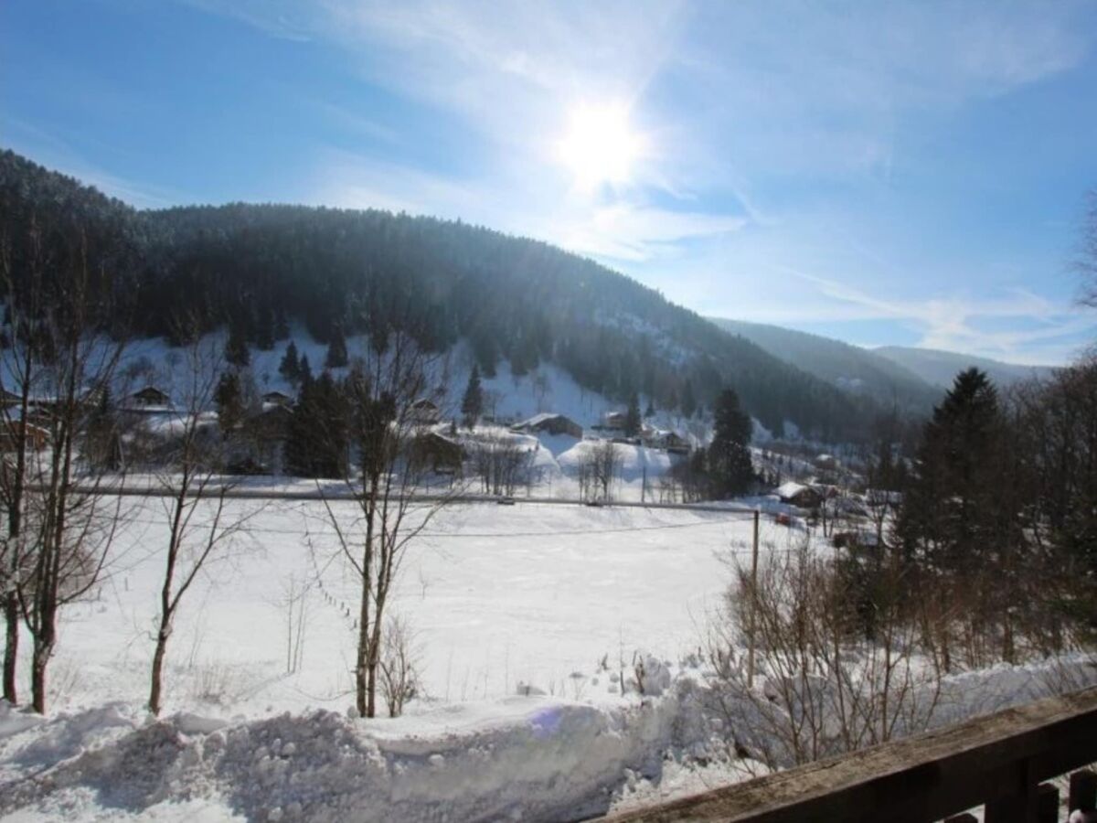 Chalet La Bresse Außenaufnahme 9