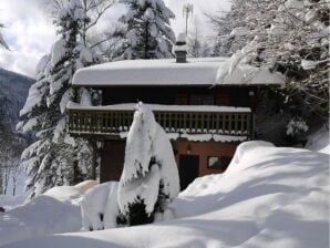 LE TRAPPEUR Chalet en bois vue montagne - Vogesen - image1