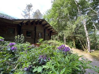 Chalet La Bresse Outdoor Recording 13