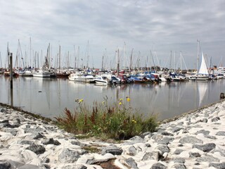 Hafen