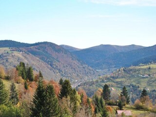 Apartment La Bresse Environment 31