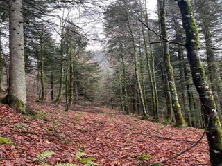 Appartamento La Bresse Ambiente 22