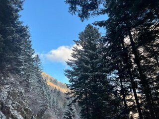Appartamento La Bresse Ambiente 25