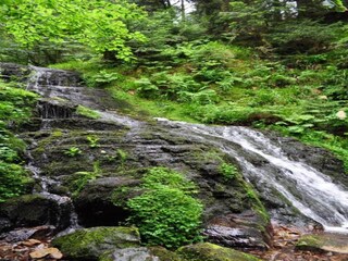 Apartment La Bresse Environment 30