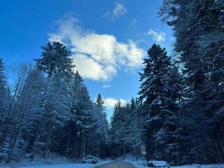 Apartment La Bresse Umgebung 38