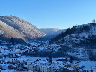 Apartment La Bresse Environment 37