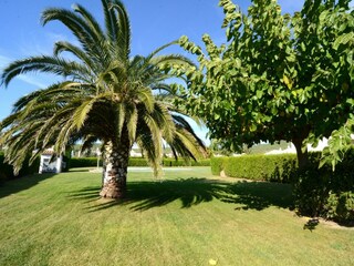 Vakantiehuis L'Estartit Buitenaudio-opname 6