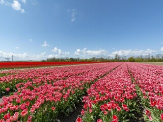 Casa per le vacanze Sint Maartenszee  17